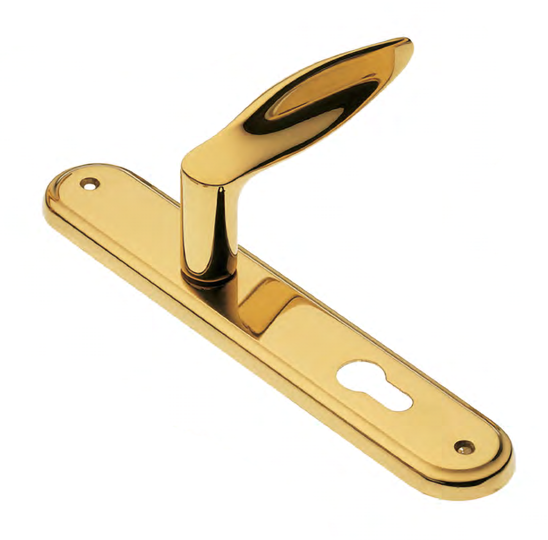Door handle on backplate DALI PL OTL, colour - polished brass image buy World