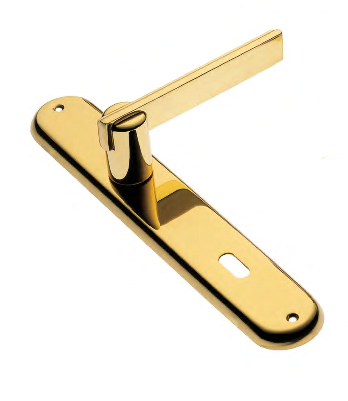 Door handle on backplate ORCHIDEA PL OTL, colour - polished brass image buy World