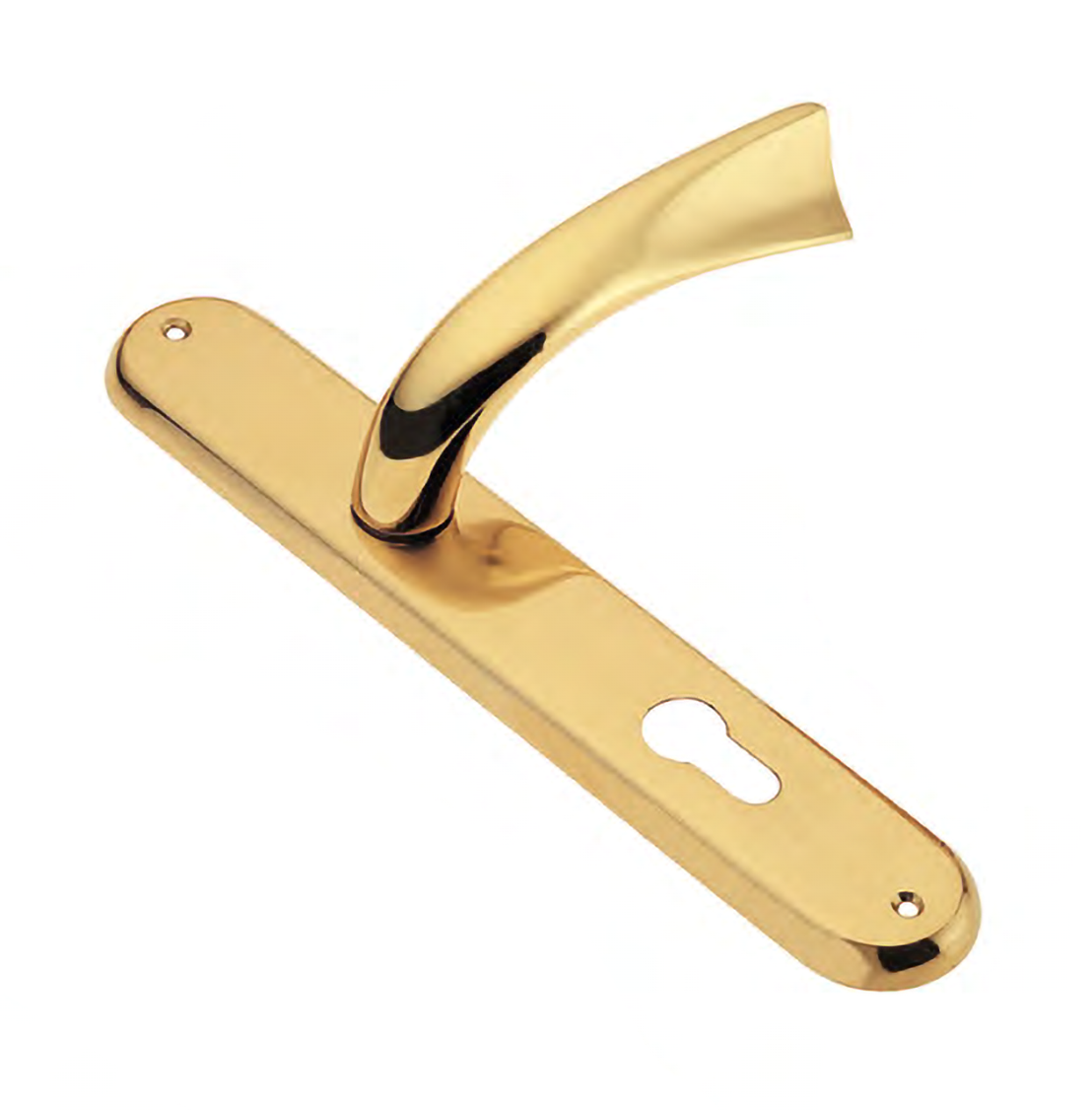 Door handle on backplate RAFT PL OTL, colour - polished brass image buy World