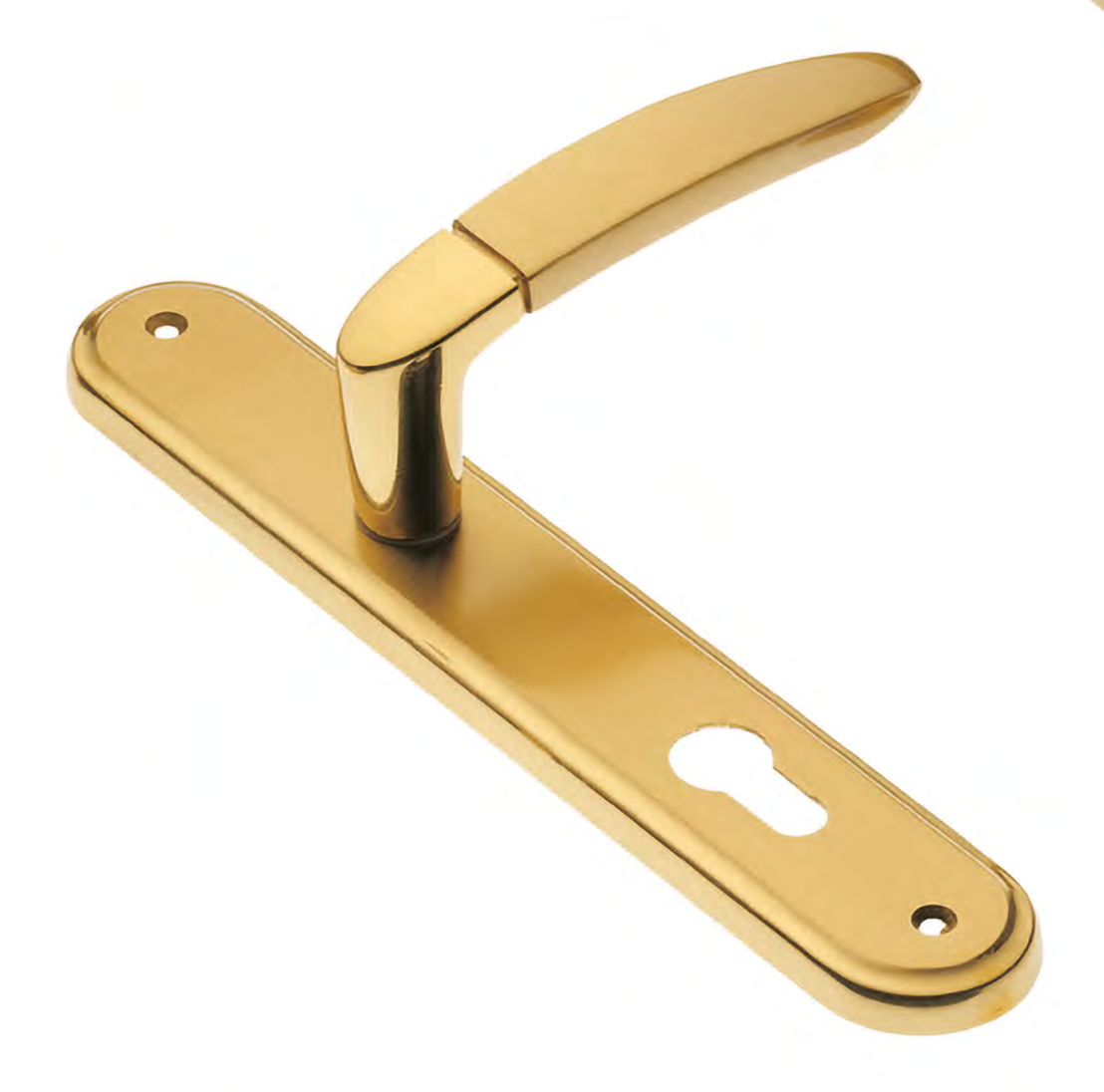Door handle on backplate SAIL PL OSA/OTL, colour - satin brass/polished brass image buy World