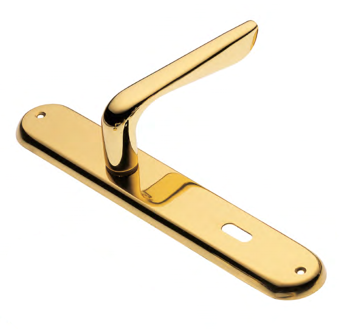 Door handle on backplate PETRA PL OTL, colour - polished brass image buy World