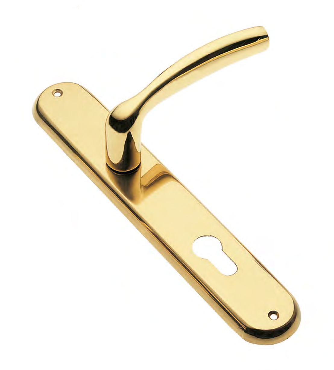 Door handle on backplate VENERA PL OTL, colour - polished brass image buy World