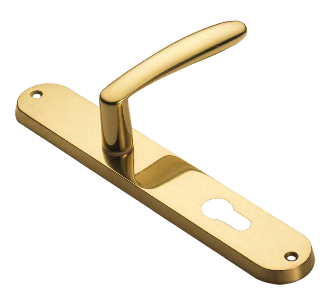 Door handle on backplate IMOLA PL OTL, colour - polished brass image buy World
