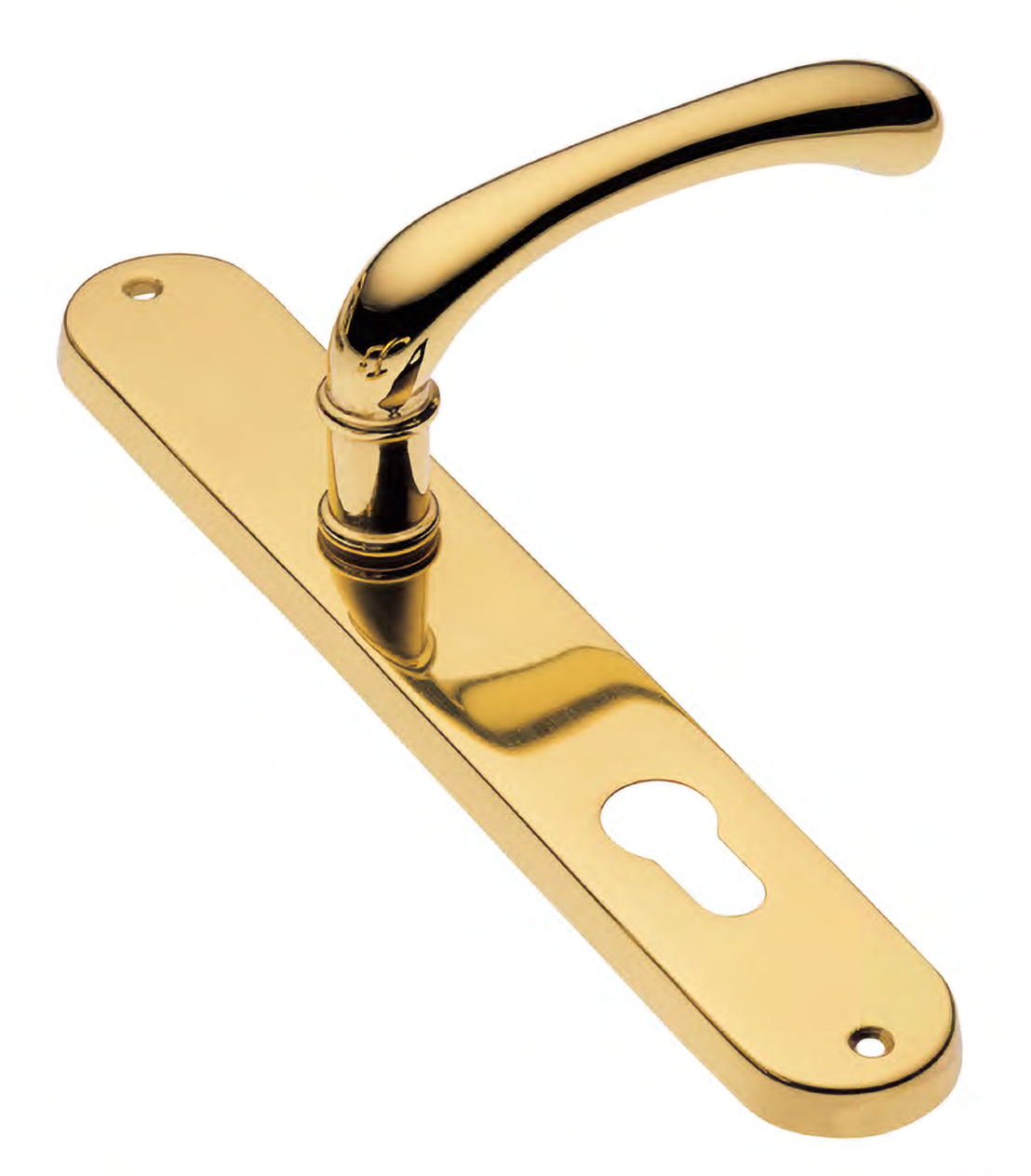 Door handle on backplate RING PL OTL, colour - polished brass image buy World