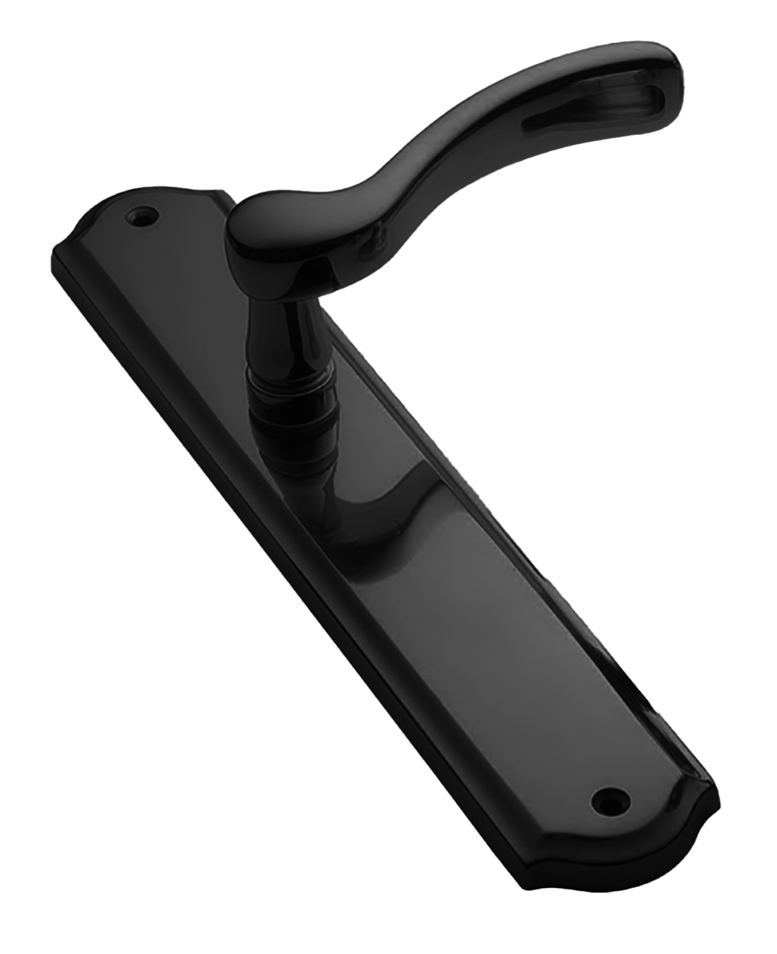 Door handle on backplate ERICA PL NERO, colour - black image buy World