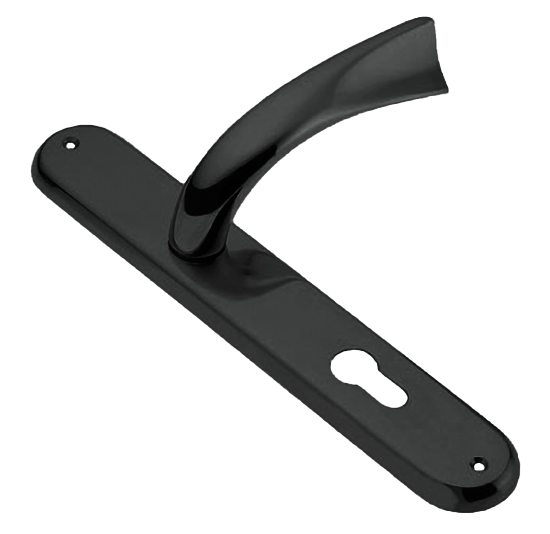 RAFT PL NIN, rosette handle, color - black nickel image buy in World