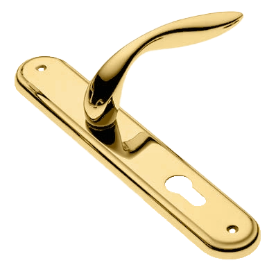 LEON PL OTL, rosette handle, color - gold image buy in World