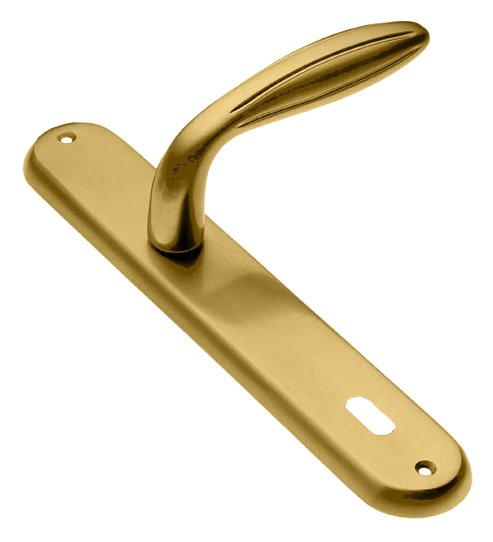 BUD PL OSA, rosette handle, color - brushed gold image buy in World
