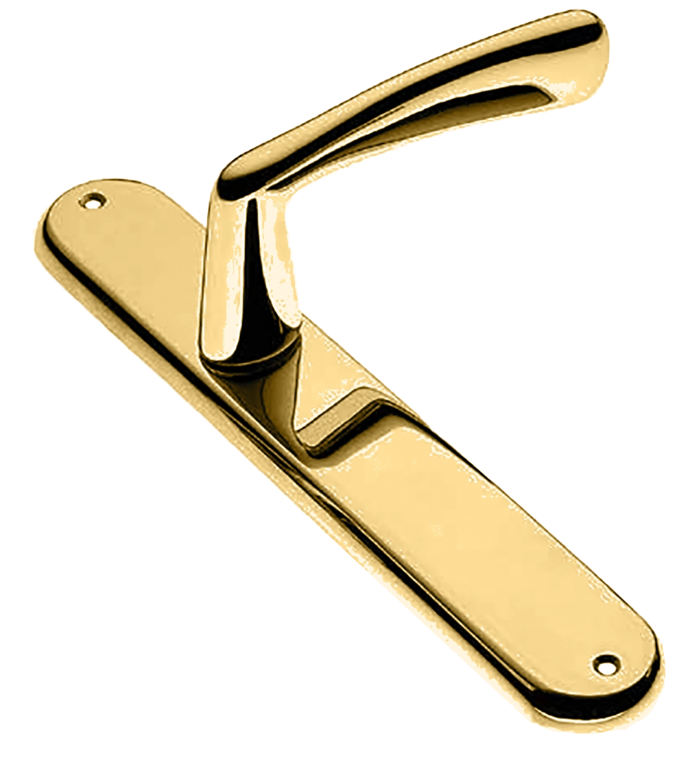 COCKATOO PL OTL, rosette handle, color - gold image buy in World