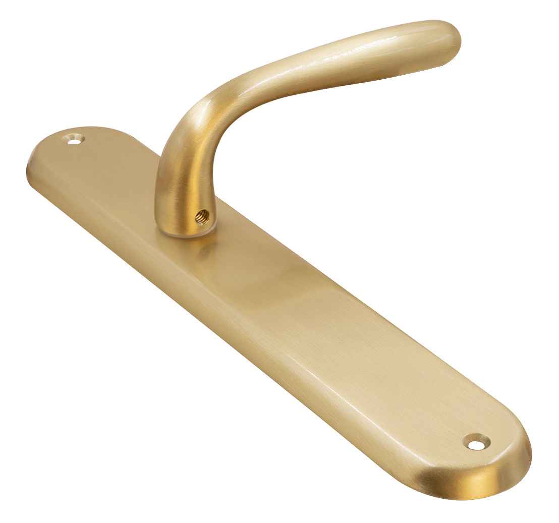 RUBINO PL OSA, rosette handle, color - brushed gold image buy World