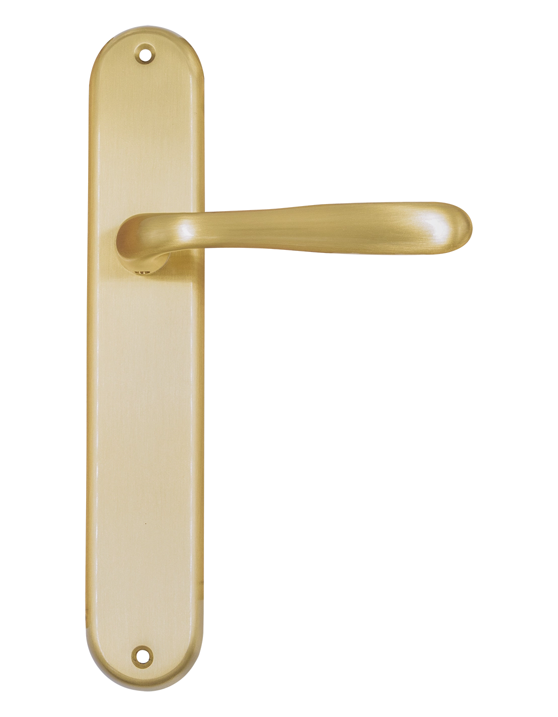 RUBINO PL OSA, rosette handle, color - brushed gold image buy in World