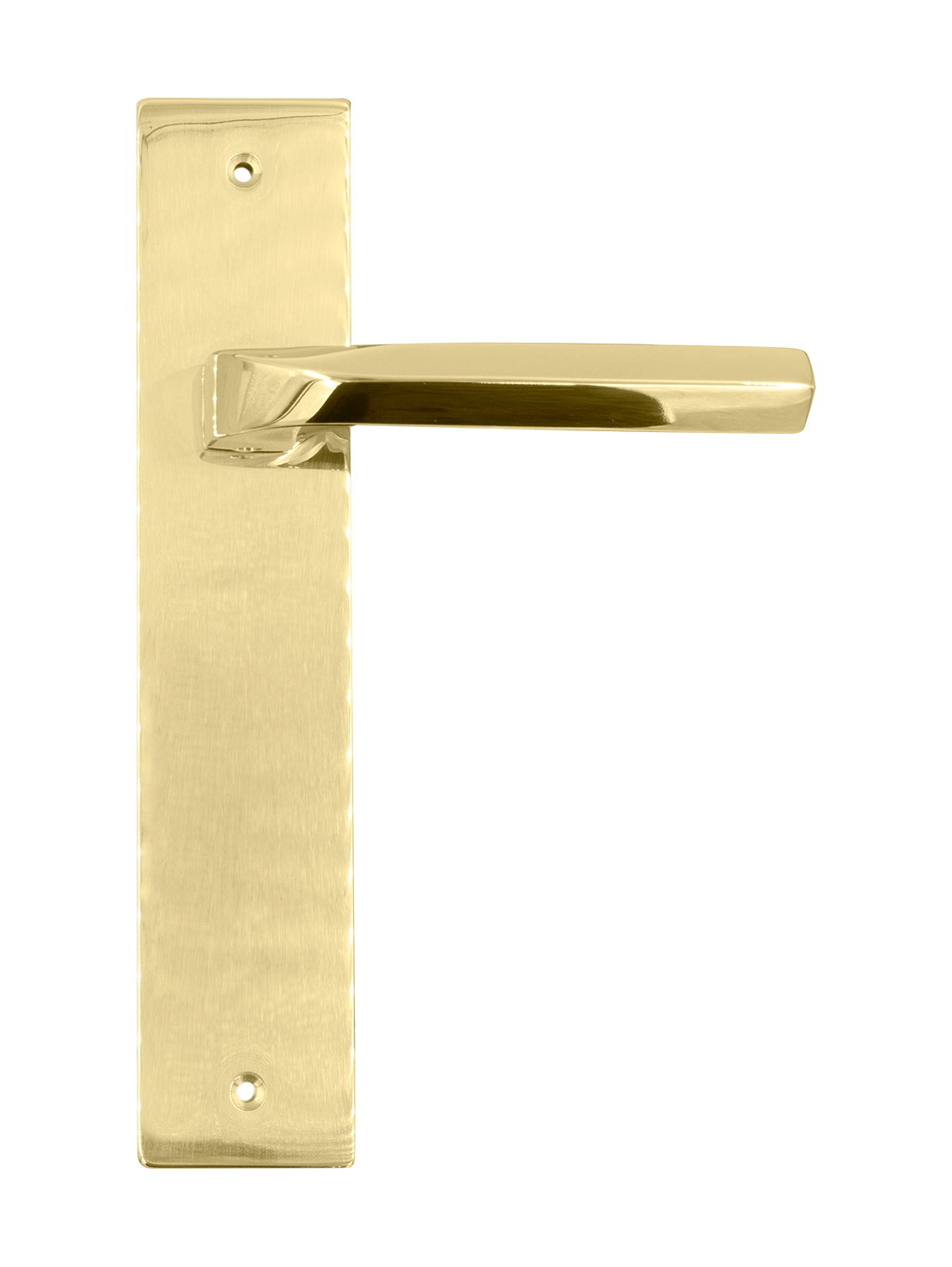 Door handle on backplate TENDER PL OTL, colour - polished brass image buy in World