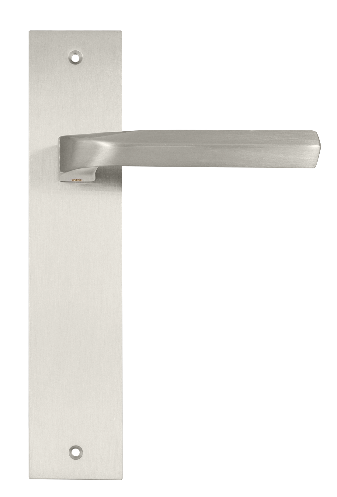 TENDER PL NIS, rosette handle, color - brushed nickel image buy in World