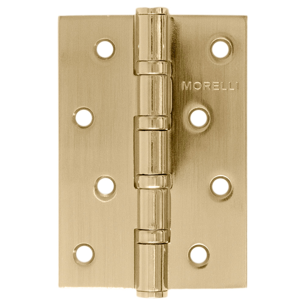 MSN 100X70X2.5-4BB MSG with bearing, universal steel hinge, for door panels up to 40 kg, color - matte satin gold image buy in World