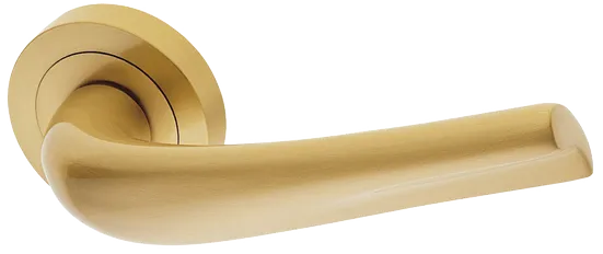 RAFT R2 OSA, door handle, colour - satin gold image buy World