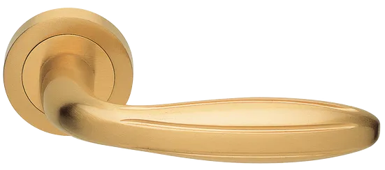 BUD R2 OSA, door handle, colour - satin gold image buy World