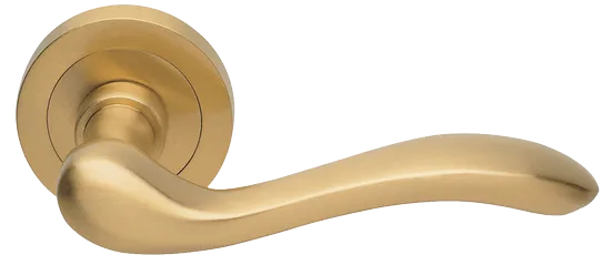 ERICA R2 OSA, door handle, colour - satin gold image buy World