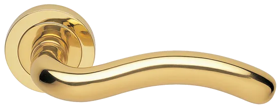 SNAKE R2 OTL, door handle, colour - gold image buy World