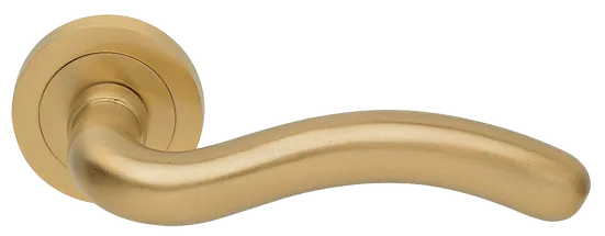 SNAKE R2 OSA, door handle, colour - satin gold image buy World