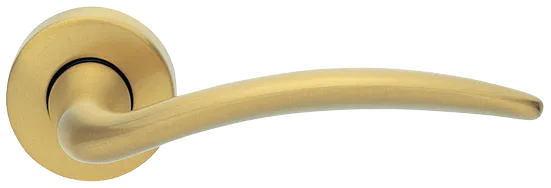 FRANCY R3-E OSA, door handle, colour - satin gold image buy World