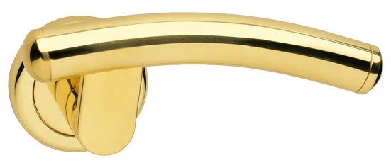 LUNA R4 OTL, door handle, colour - gold image buy World