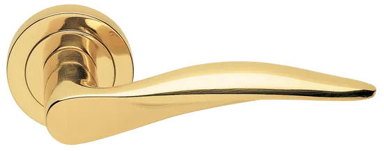 DALI R2 OTL, door handle, colour - gold image buy World